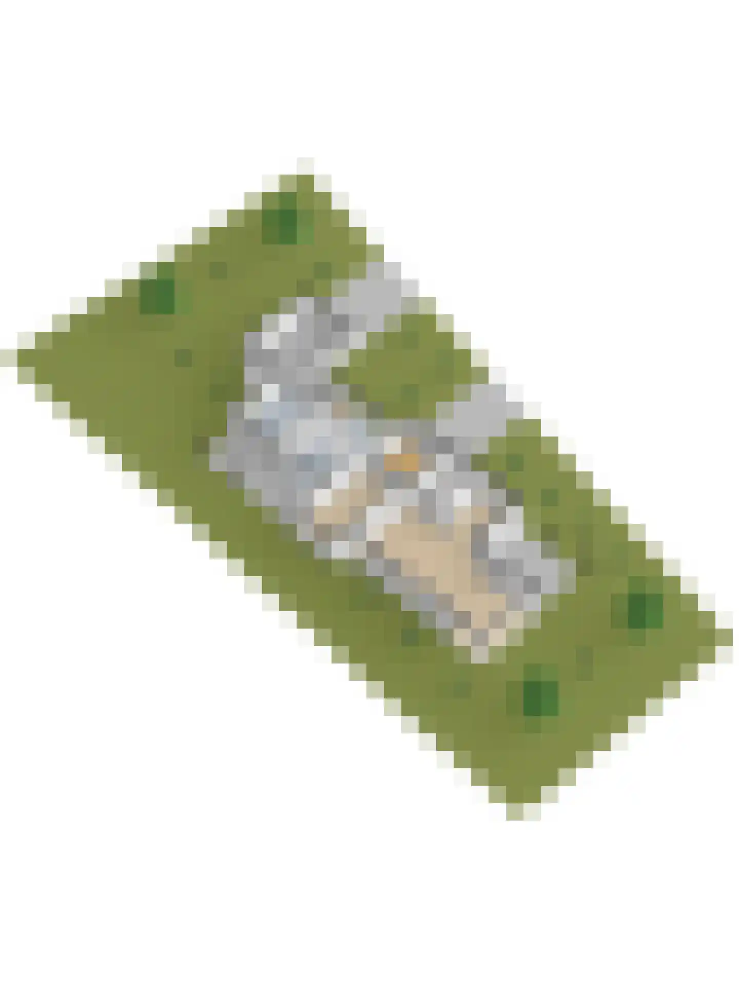 Oranjelaan 1 Ermelo thumbnail 48