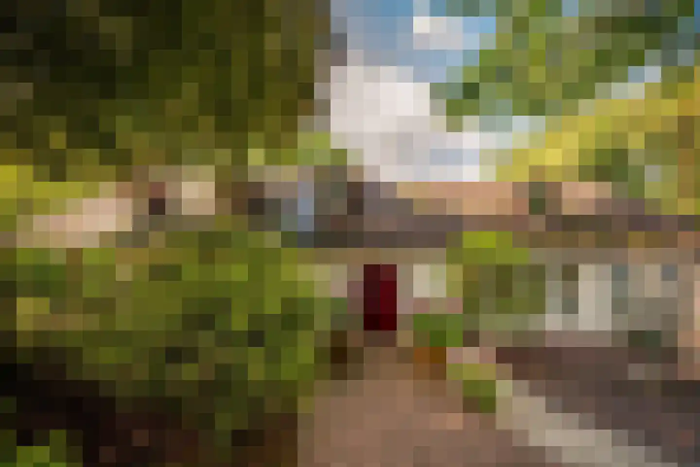 Oranjelaan 1 Ermelo thumbnail 5
