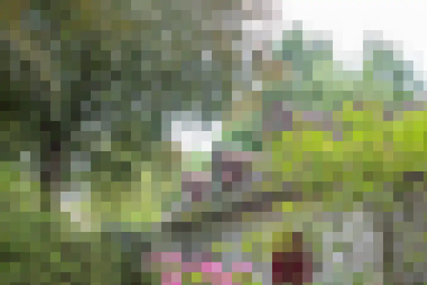Oranjelaan 1 Ermelo thumbnail 7