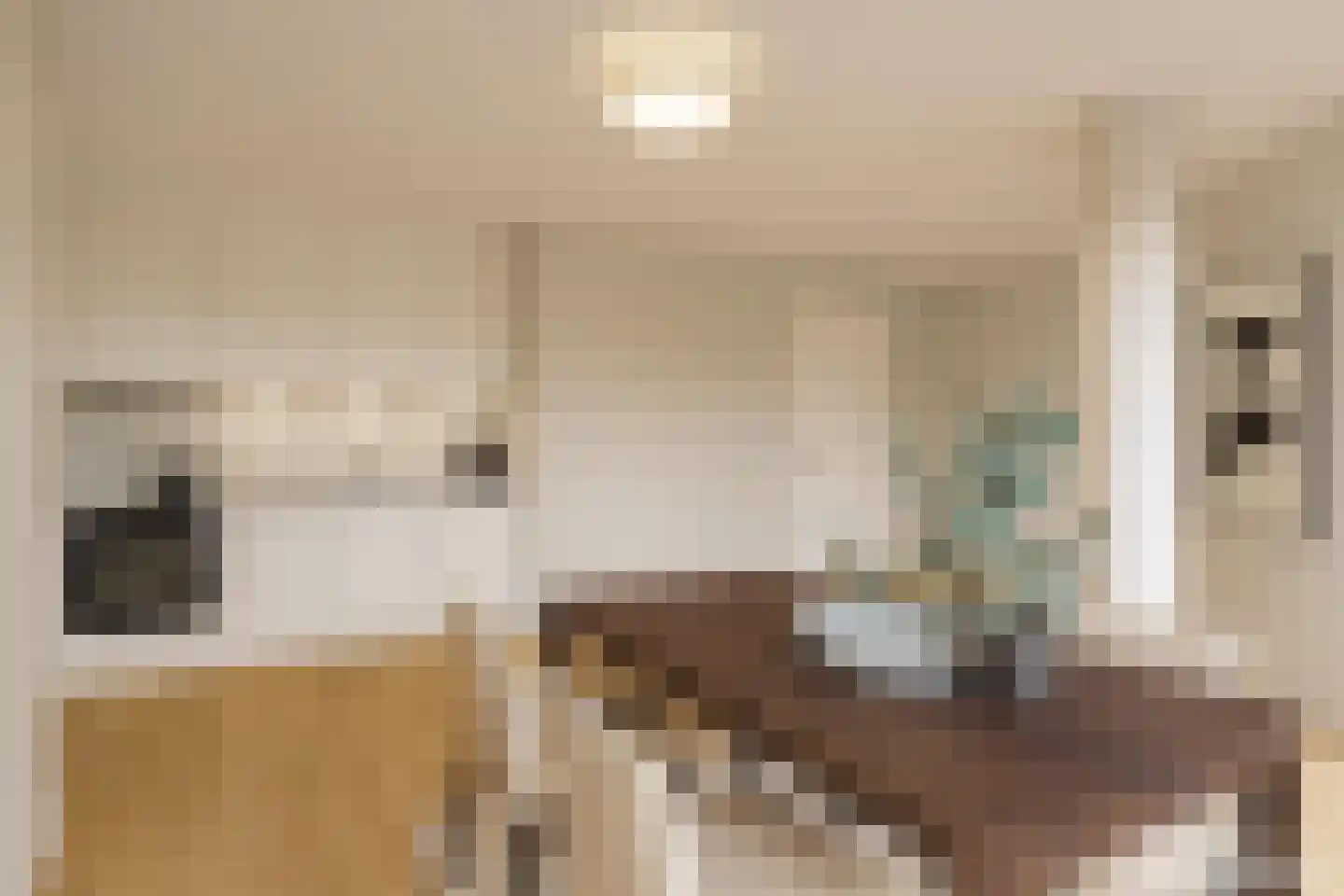 Oranjelaan 1 Valkenburg thumbnail 5