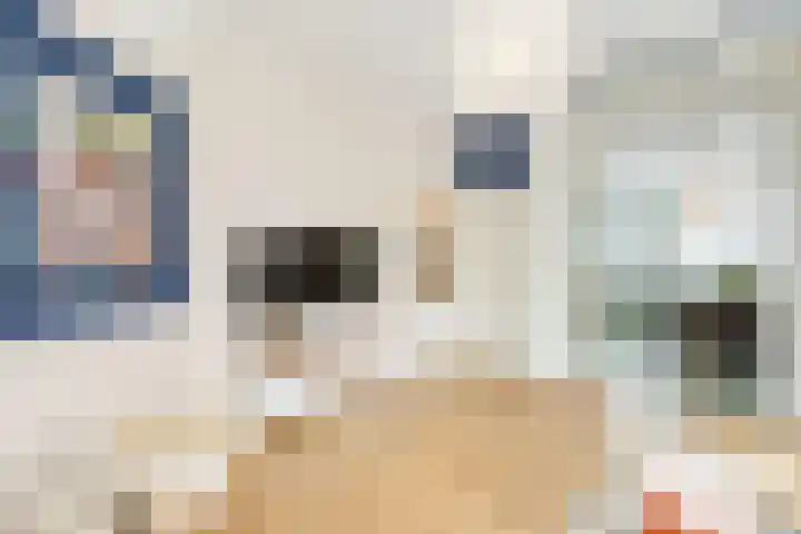Oranjelaan 1 Waddinxveen thumbnail 15