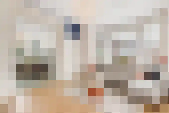 Oranjelaan 1 Waddinxveen thumbnail 16