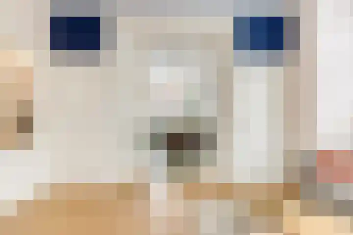Oranjelaan 1 Waddinxveen thumbnail 18