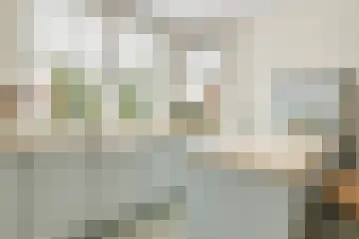 Oranjelaan 1 Waddinxveen thumbnail 21