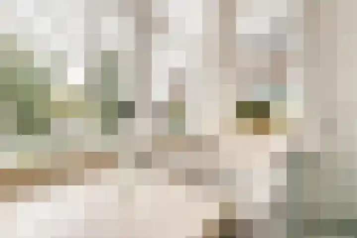 Oranjelaan 1 Waddinxveen thumbnail 22