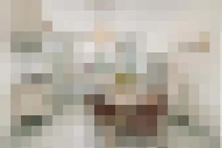 Oranjelaan 1 Waddinxveen thumbnail 23
