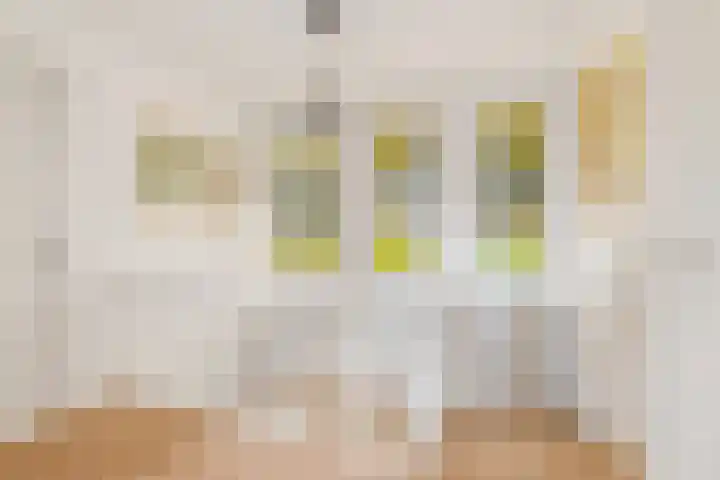Oranjelaan 1 Waddinxveen thumbnail 29
