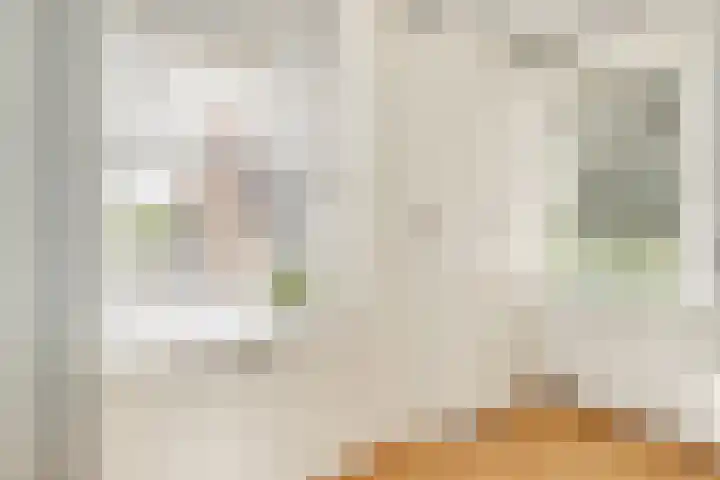 Oranjelaan 1 Waddinxveen thumbnail 32