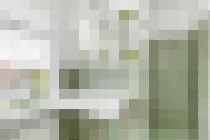Oranjelaan 1 Waddinxveen thumbnail 40