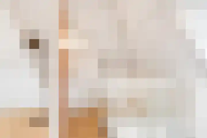 Oranjelaan 1 Waddinxveen thumbnail 41