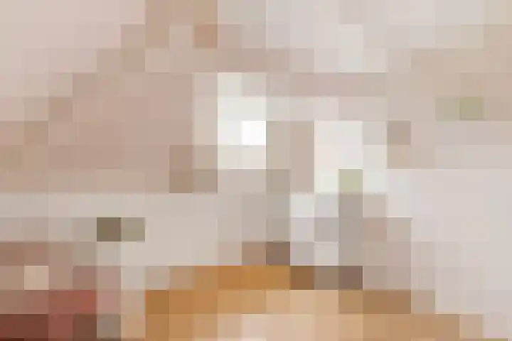 Oranjelaan 1 Waddinxveen thumbnail 45