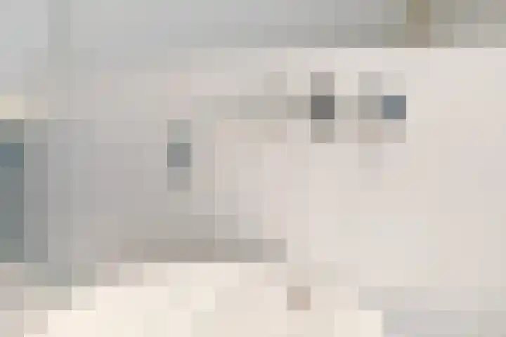 Oranjelaan 1 Waddinxveen thumbnail 49