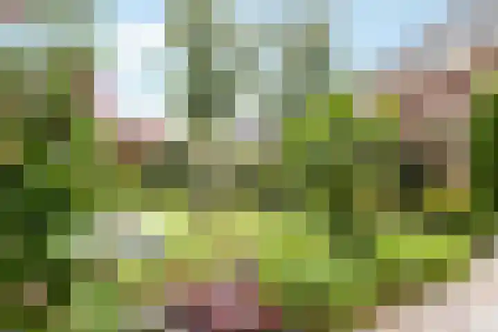 Oranjelaan 1 Waddinxveen thumbnail 50