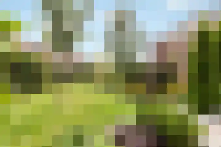 Oranjelaan 1 Waddinxveen thumbnail 51