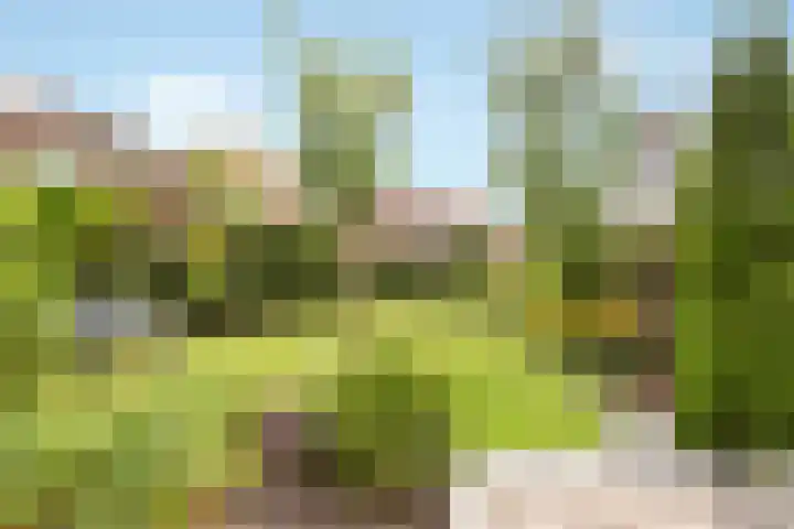 Oranjelaan 1 Waddinxveen thumbnail 52