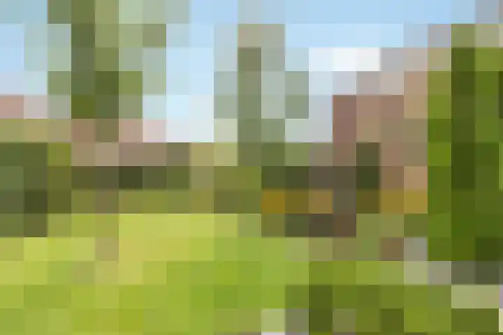Oranjelaan 1 Waddinxveen thumbnail 53
