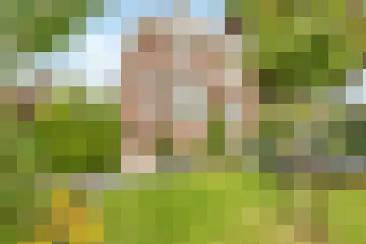 Oranjelaan 1 Waddinxveen thumbnail 55