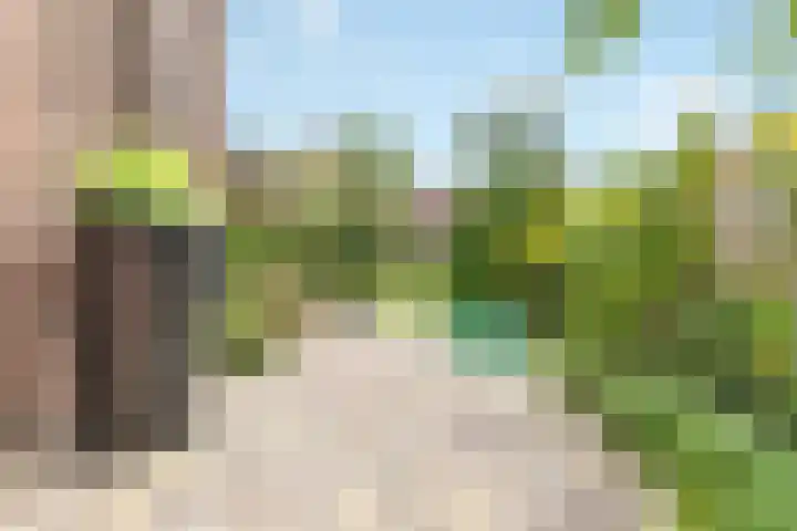 Oranjelaan 1 Waddinxveen thumbnail 57