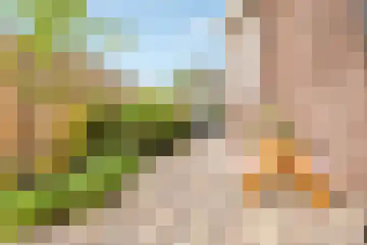 Oranjelaan 1 Waddinxveen thumbnail 59