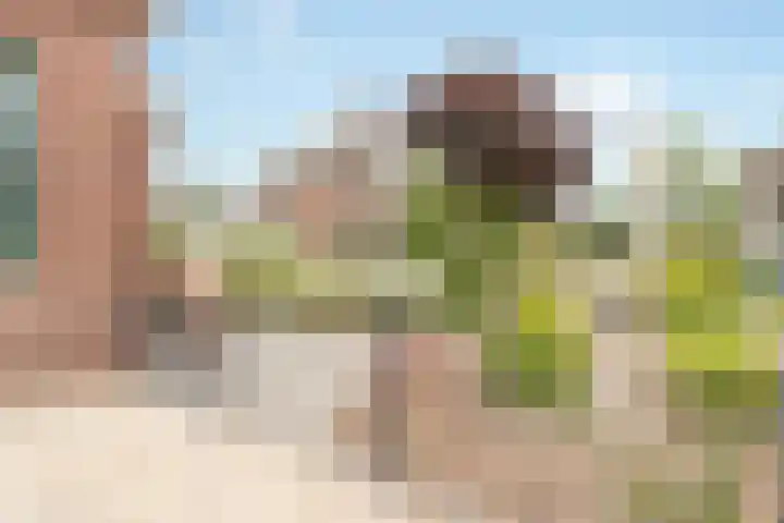 Oranjelaan 1 Waddinxveen thumbnail 63