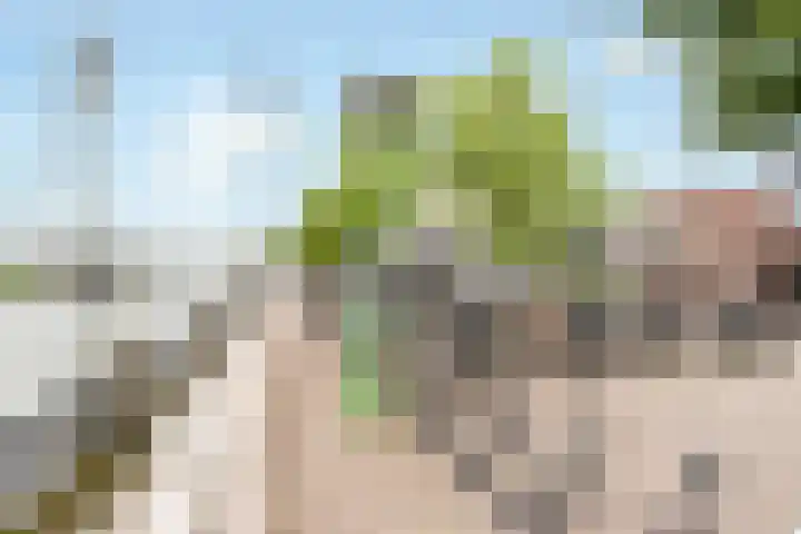 Oranjelaan 1 Waddinxveen thumbnail 65
