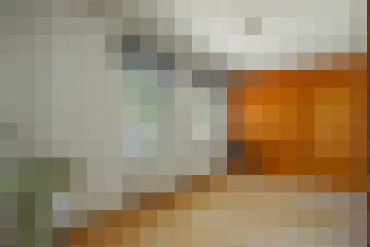 Oranjelaan 10 Geleen thumbnail 17