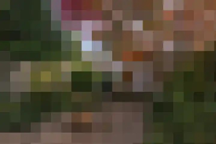 Oranjelaan 10 Geleen thumbnail 23