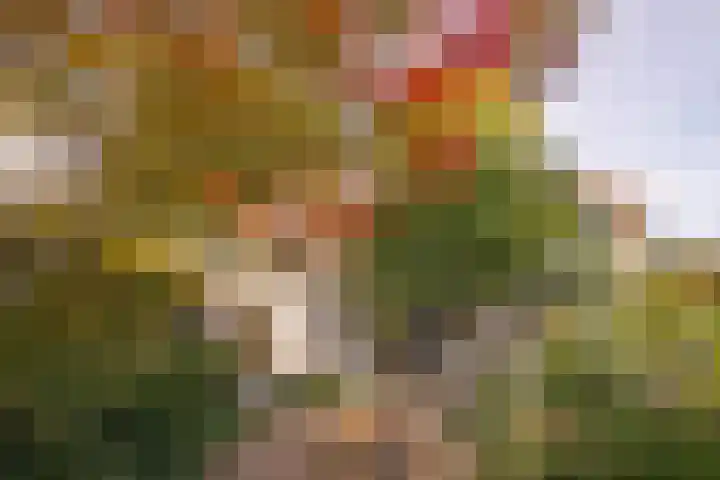 Oranjelaan 10 Geleen thumbnail 6