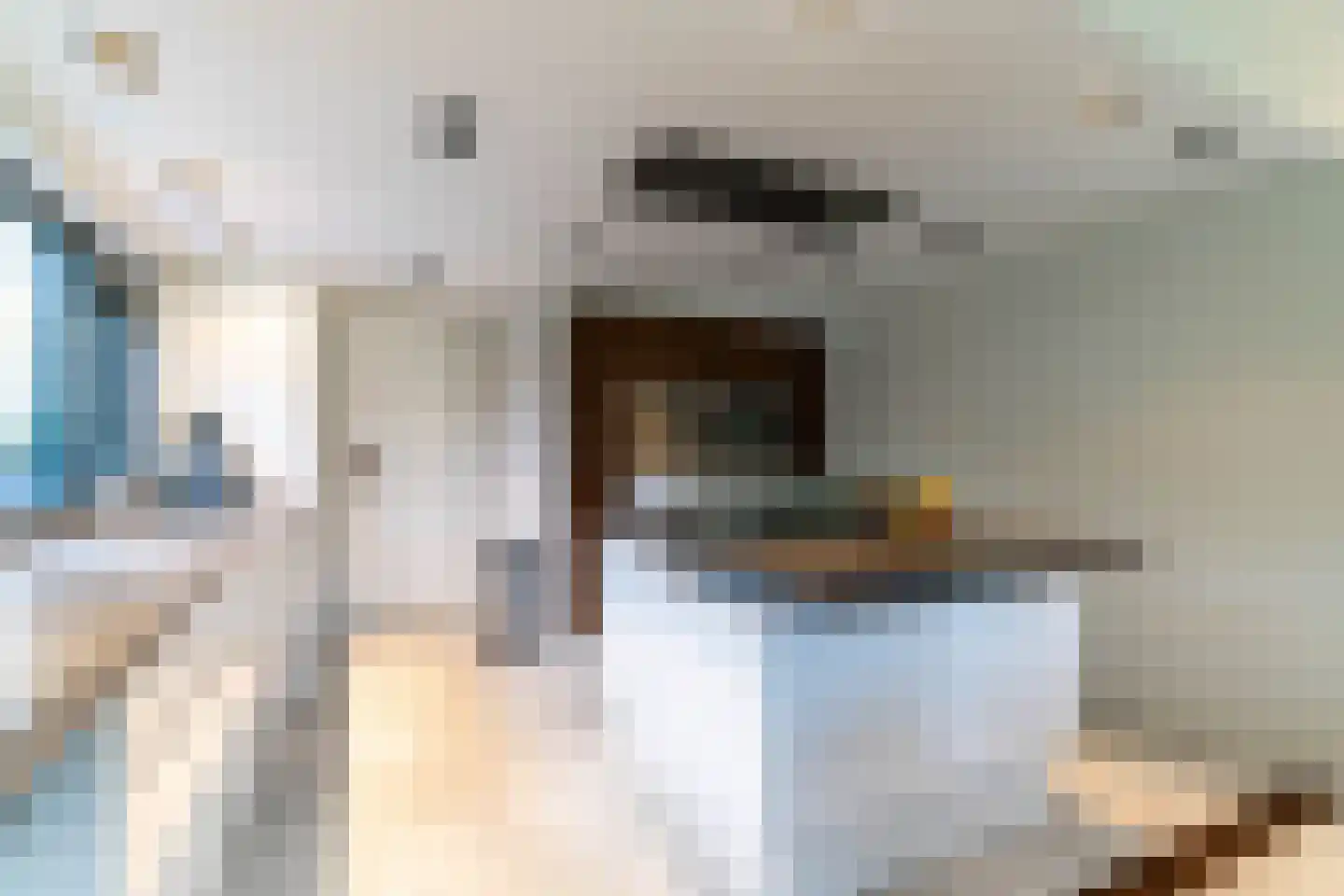 Oranjelaan 10 Wassenaar thumbnail 10