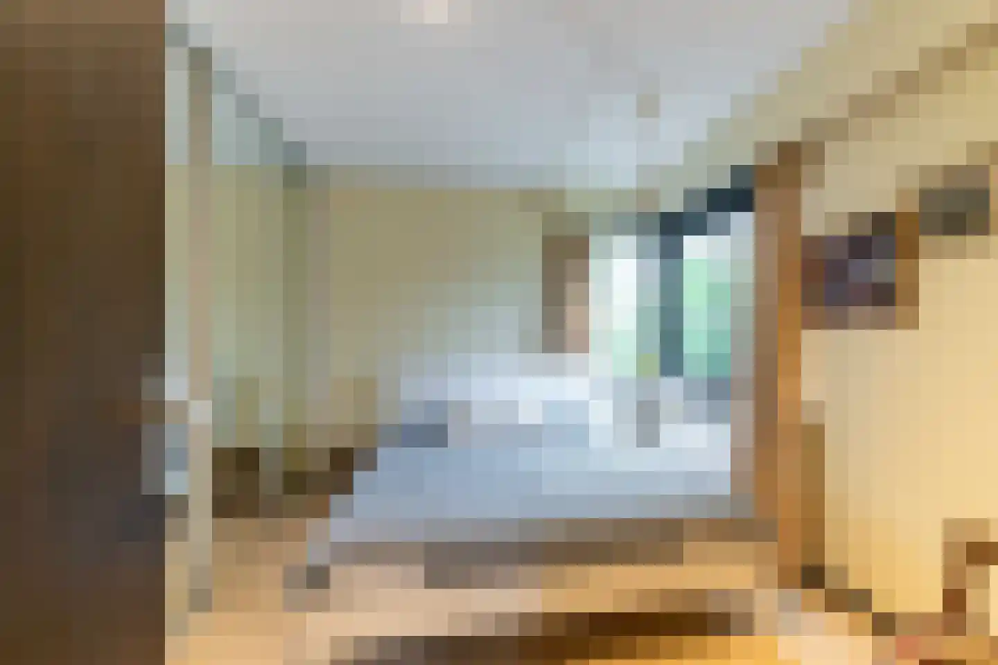 Oranjelaan 10 Wassenaar thumbnail 21