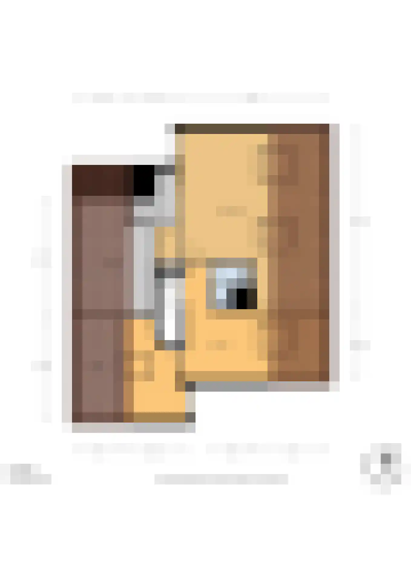 Oranjelaan 10 Wassenaar thumbnail 30