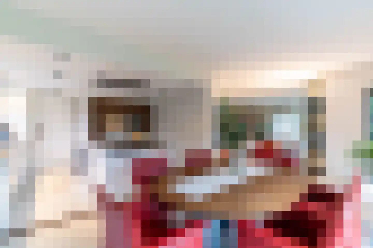Oranjelaan 10 Wassenaar thumbnail 9