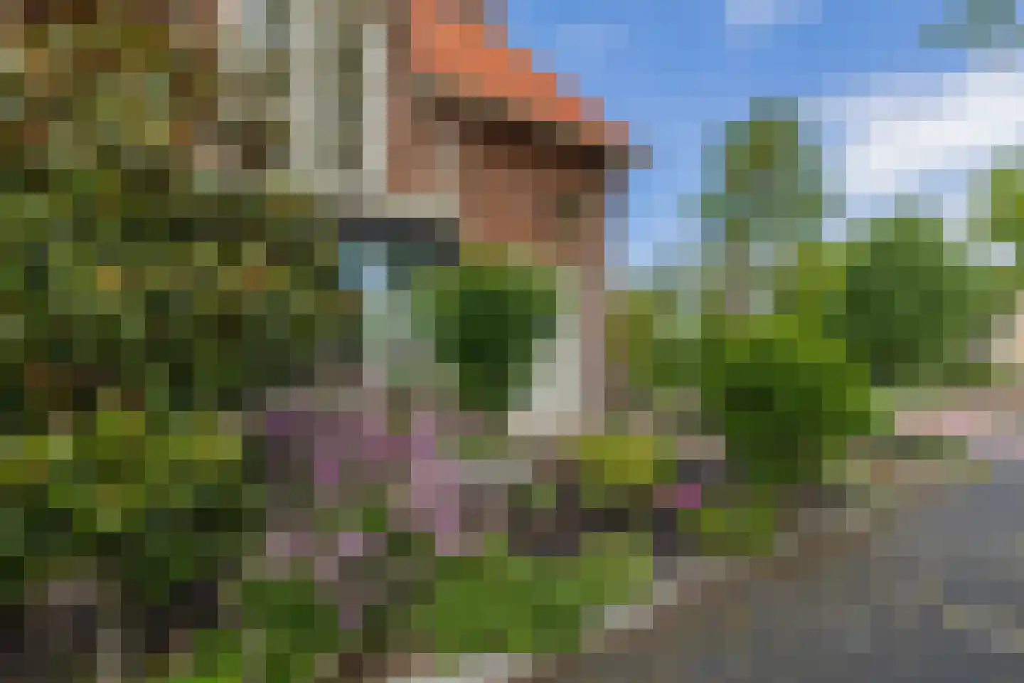 Oranjelaan 108 Lisse thumbnail 5