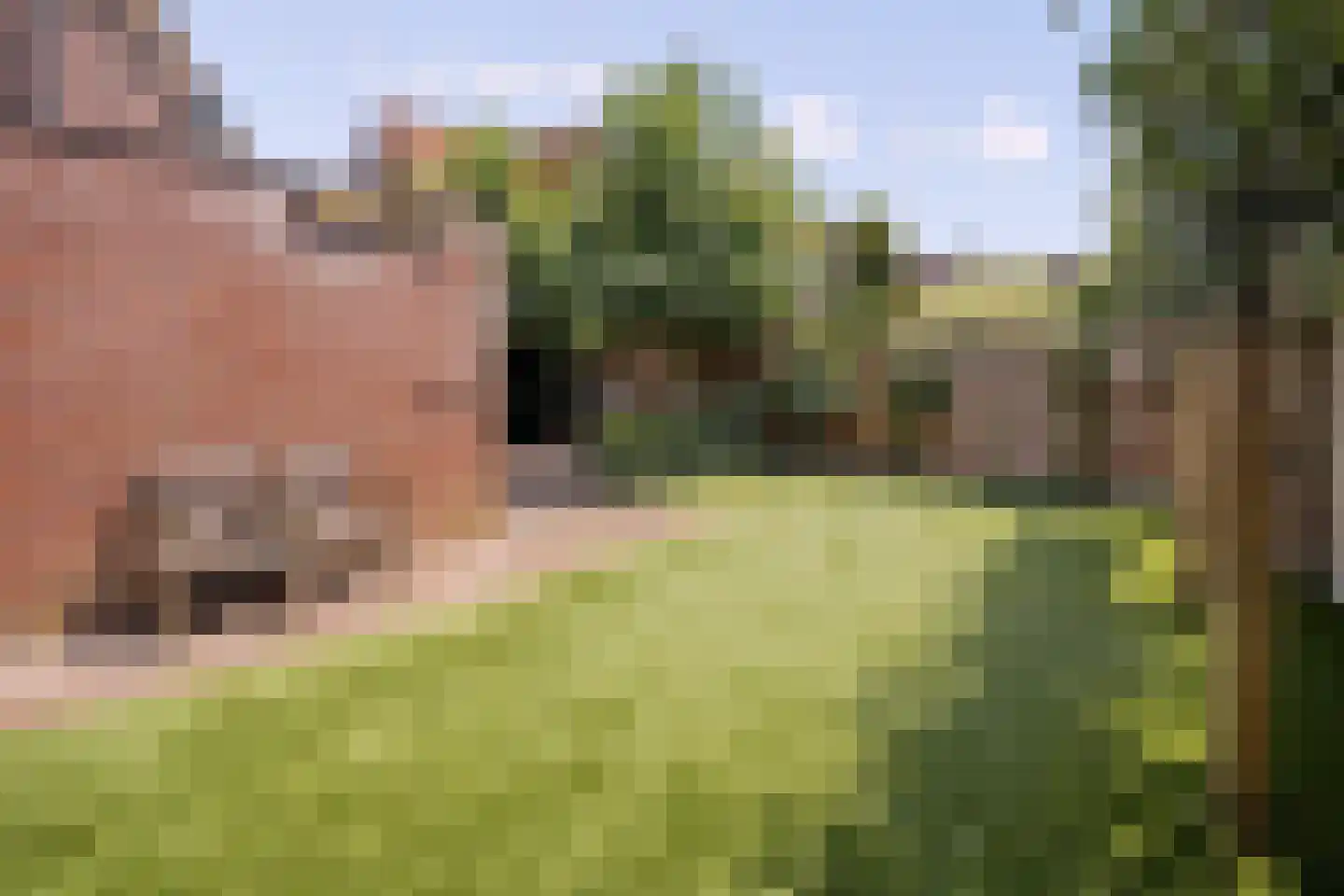 Oranjelaan 11 Helmond thumbnail 13