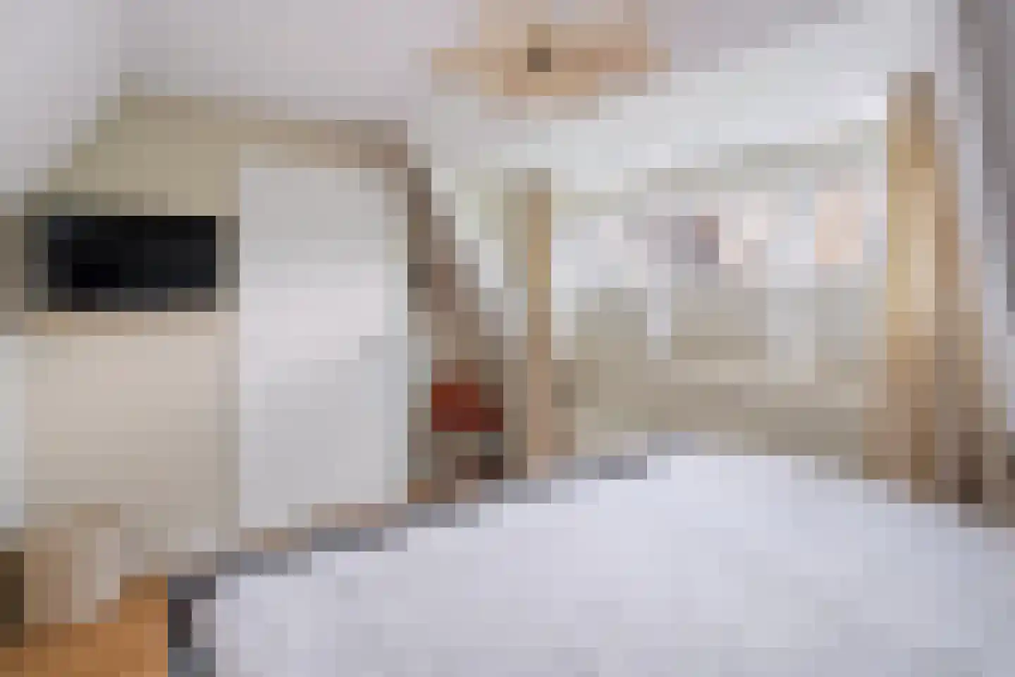 Oranjelaan 11 Helmond thumbnail 34