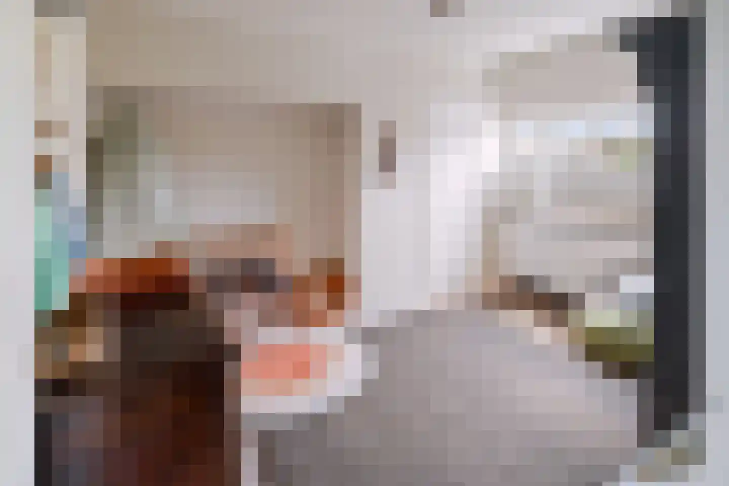 Oranjelaan 11 Helmond thumbnail 35