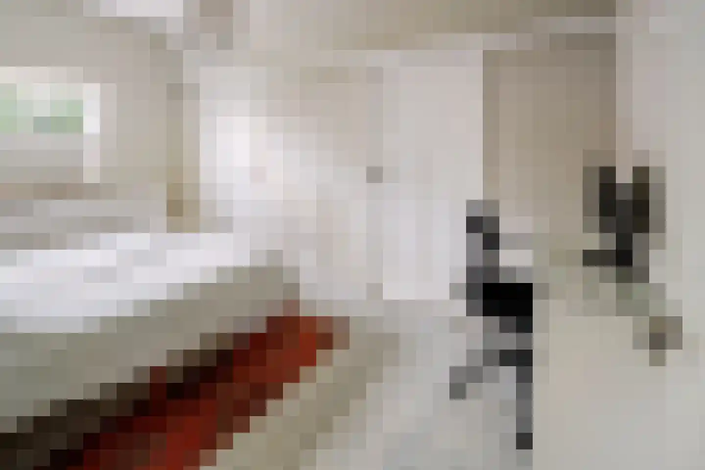 Oranjelaan 11 Helmond thumbnail 37