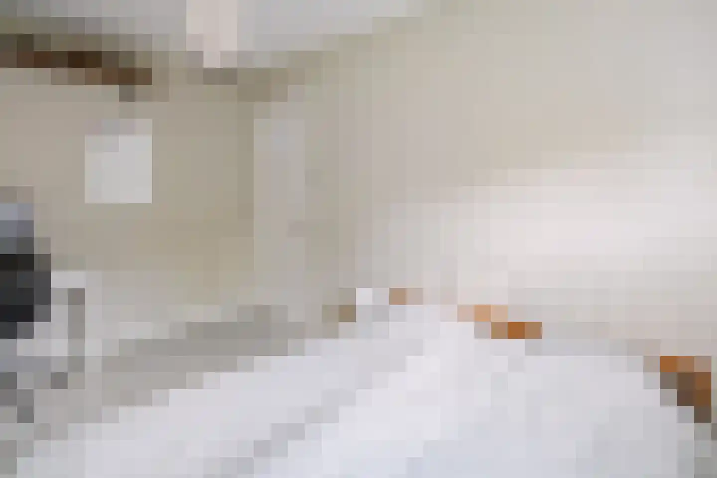 Oranjelaan 11 Helmond thumbnail 38