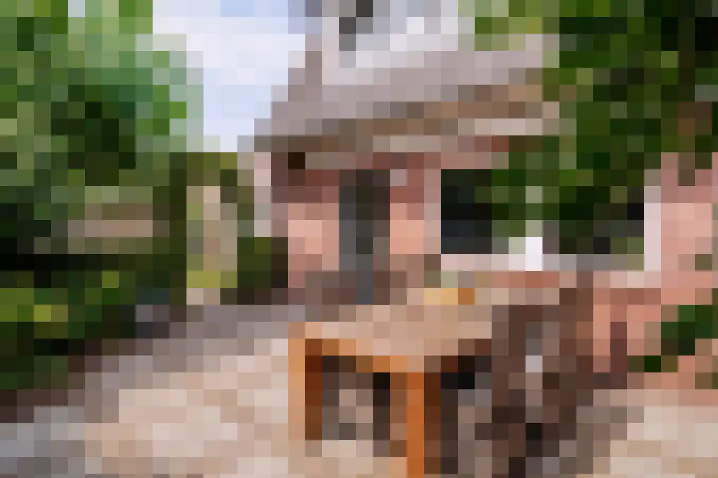 Oranjelaan 11 Helmond thumbnail 5