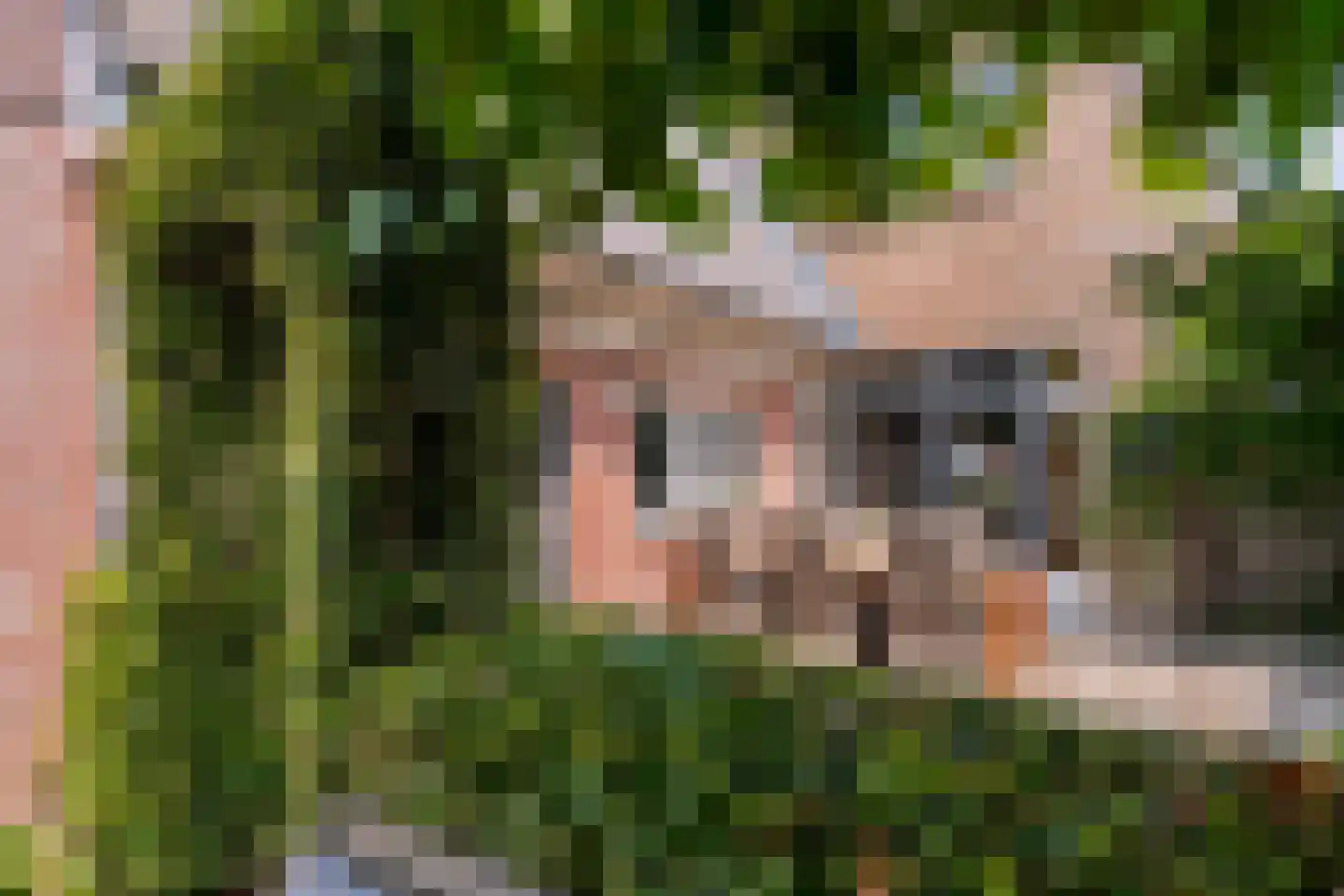 Oranjelaan 11 Helmond thumbnail 6