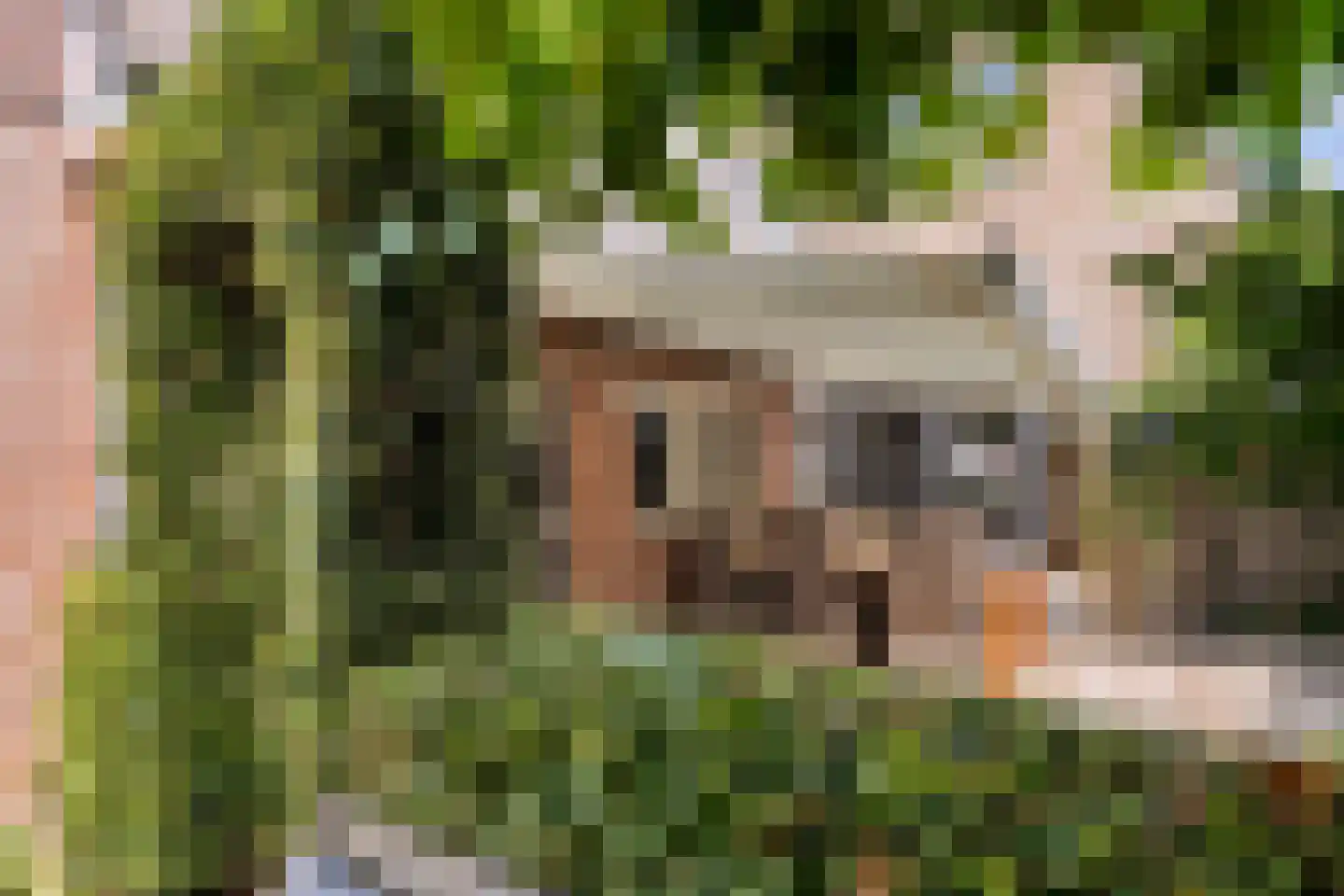 Oranjelaan 11 Helmond thumbnail 7