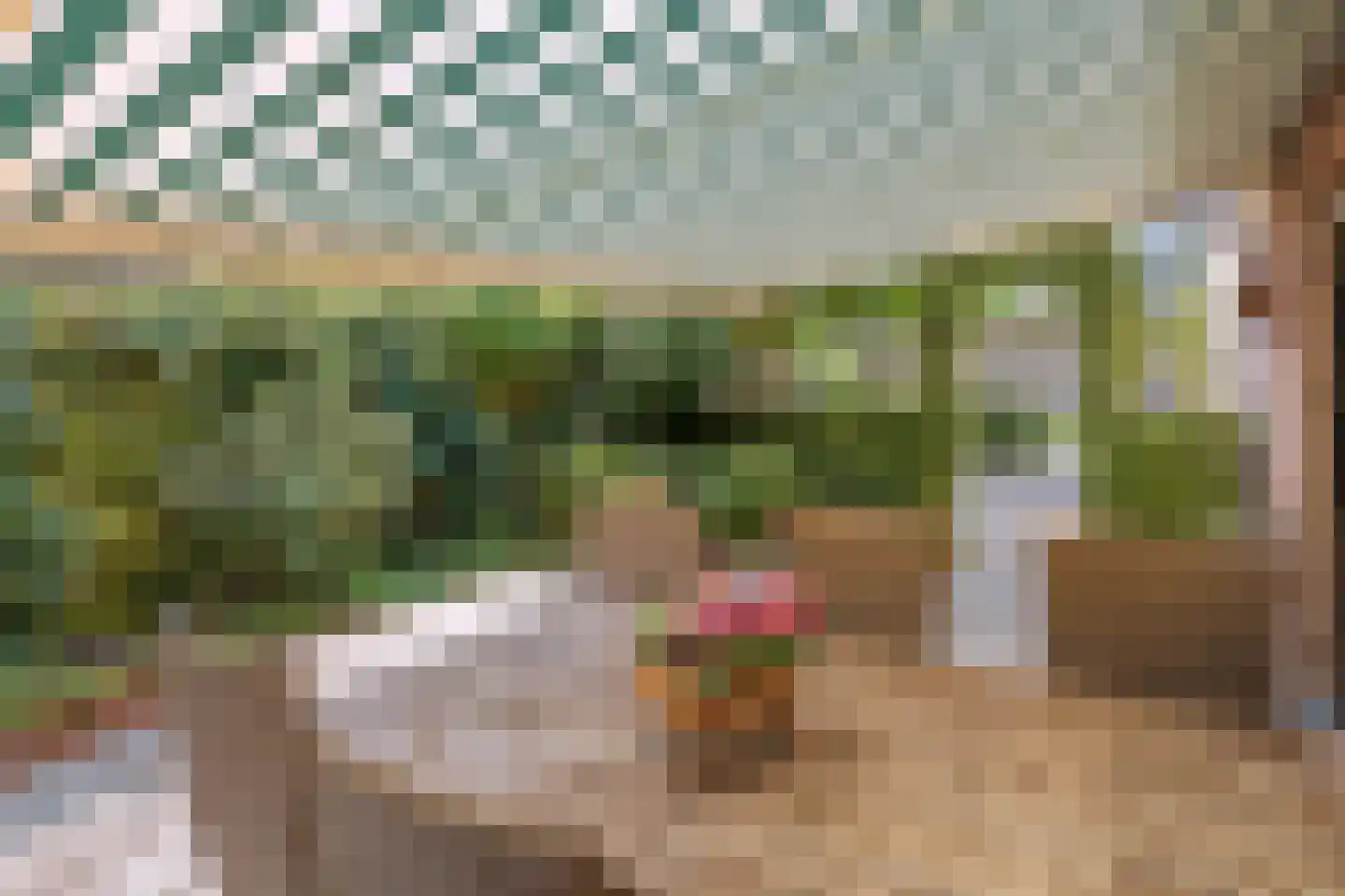 Oranjelaan 11 Helmond thumbnail 8