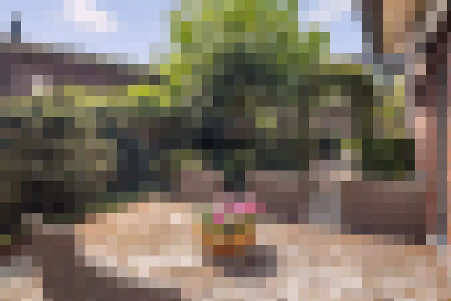 Oranjelaan 11 Helmond thumbnail 9