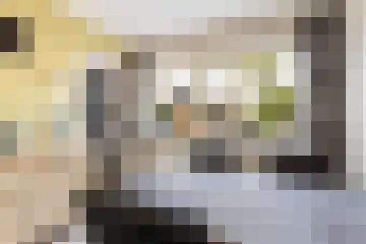 Oranjelaan 11 Nieuwkoop thumbnail 15
