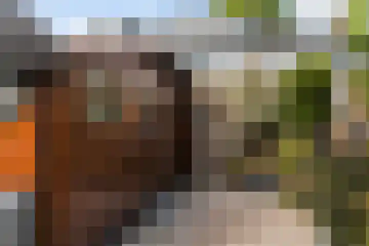Oranjelaan 11 Nieuwkoop thumbnail 35