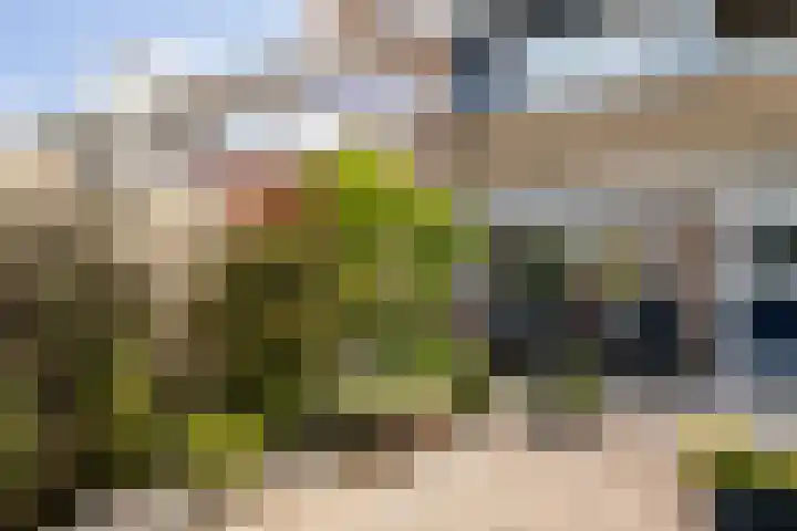 Oranjelaan 11 Nieuwkoop thumbnail 37