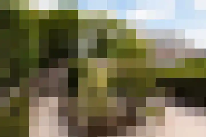 Oranjelaan 11 Nieuwkoop thumbnail 38