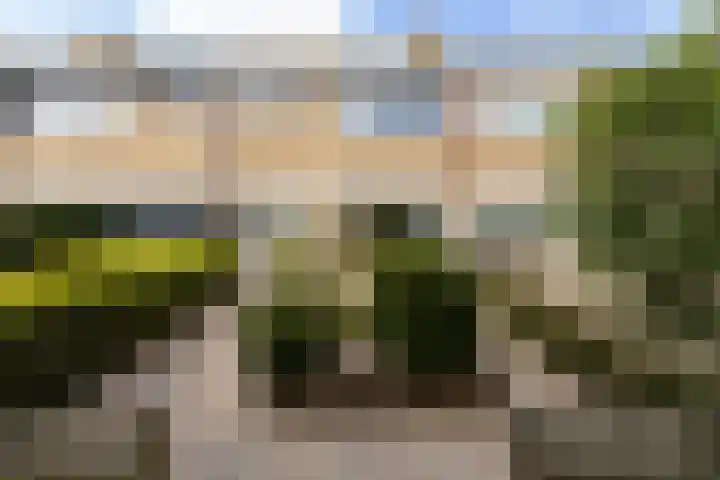 Oranjelaan 11 Nieuwkoop thumbnail 39