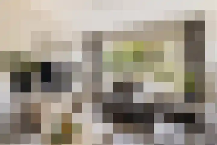 Oranjelaan 11 Nieuwkoop thumbnail 8