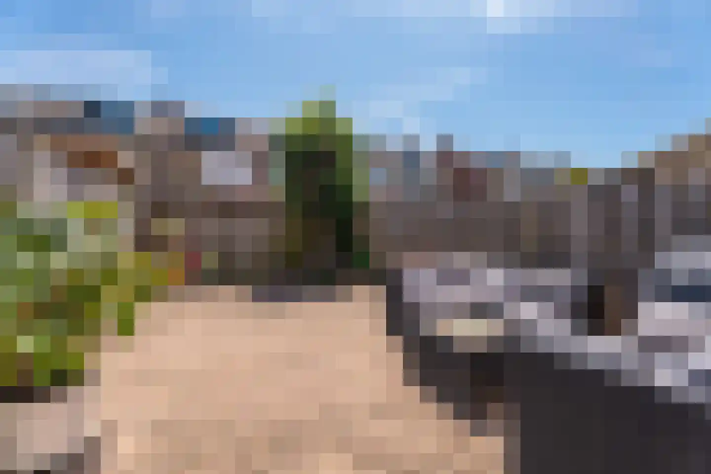 Oranjelaan 118 Rijnsburg thumbnail 26